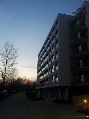 20131112_161541.jpg